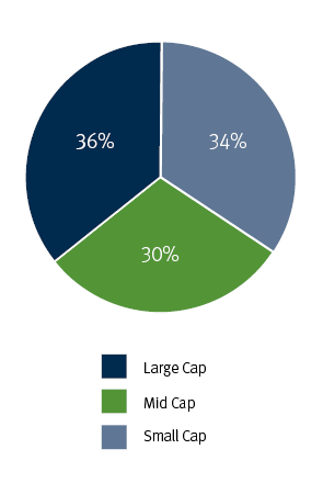 Pie chart showing Market Cap Distribution: Large Cap-36%, Mid Cap-34%,  Small Cap-30%